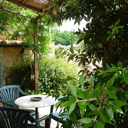Agriturismo Apparita Montecastelli Pisano Pokój zdjęcie