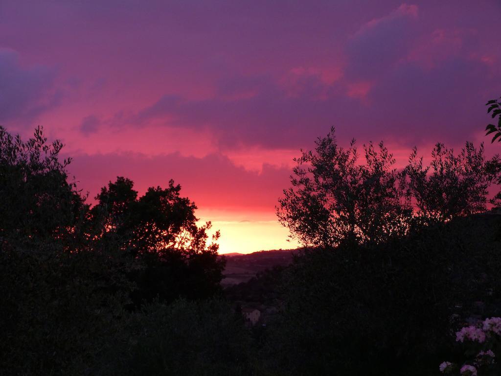 Agriturismo Apparita Montecastelli Pisano Zewnętrze zdjęcie