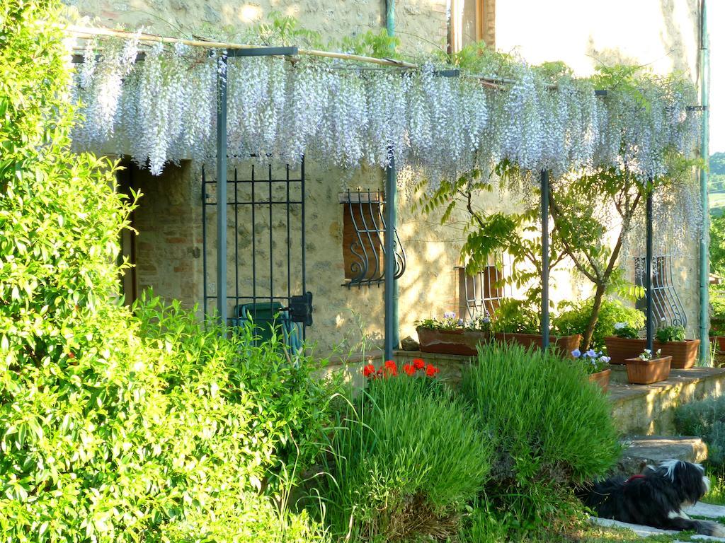 Agriturismo Apparita Montecastelli Pisano Zewnętrze zdjęcie