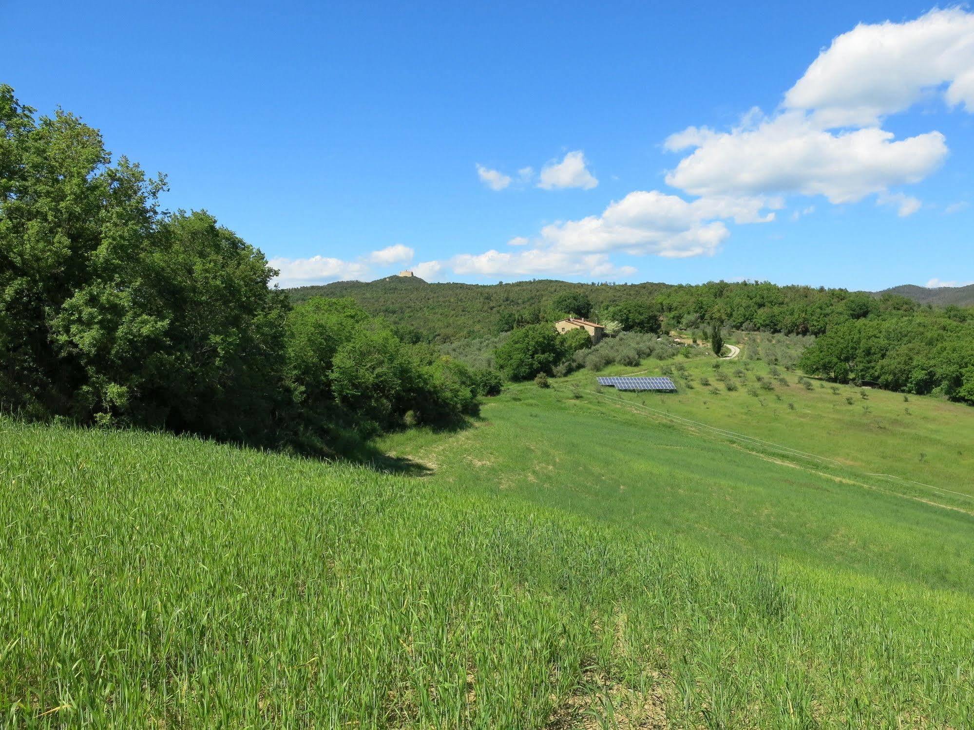 Agriturismo Apparita Montecastelli Pisano Zewnętrze zdjęcie